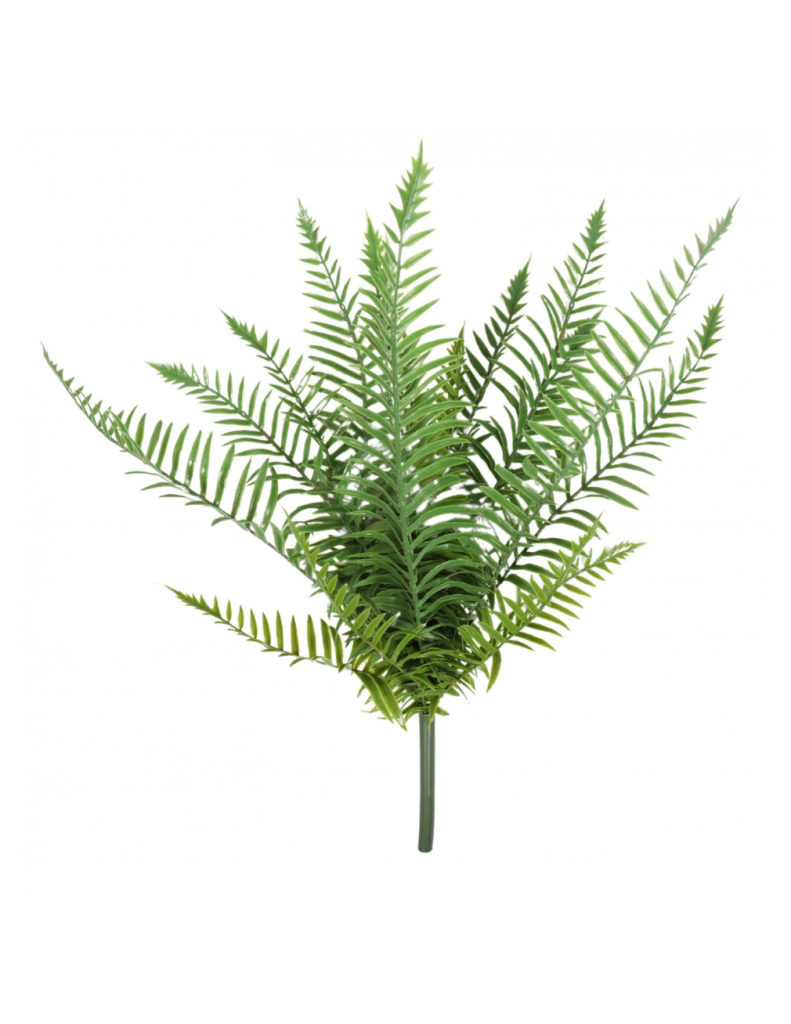 Artificial English Fern Plant