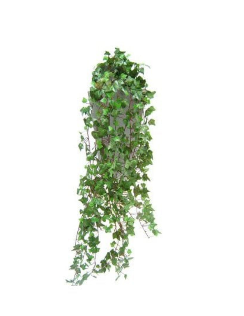 Artificial English Ivy Plant