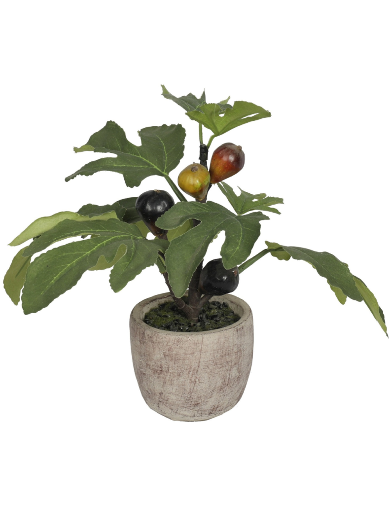 Artificial Interior Potted Fig Plant