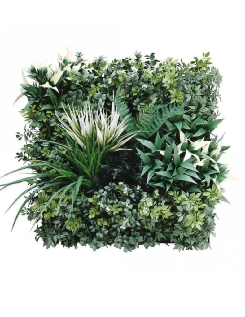 Deluxe Botanical Sample Green Wall