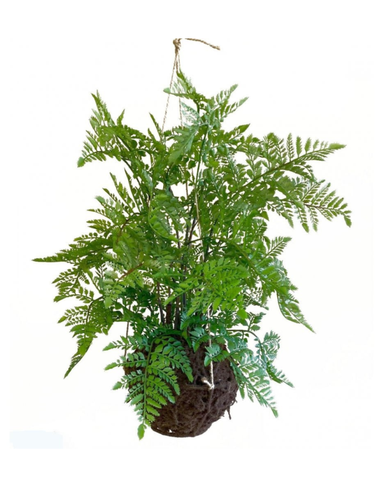 Artificial Hanging Fern Moss Ball