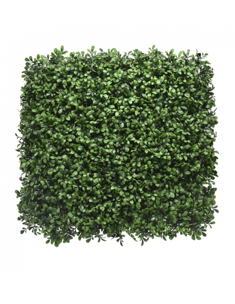 Bushy Boxwood Hedge Panel