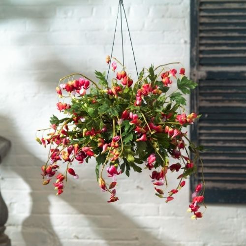 Hanging basket