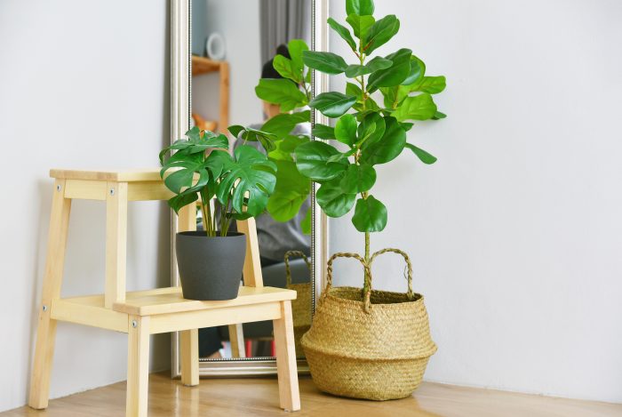 Indoor artificial plants 700x469 1