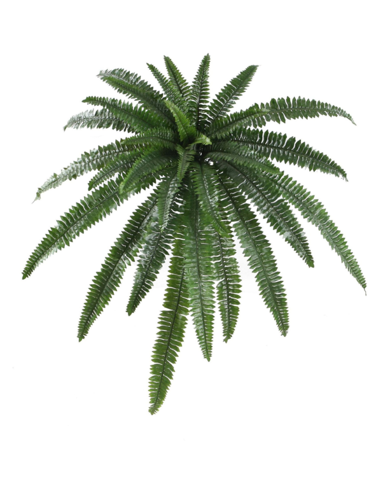 Artificial Trailing Boston Fern