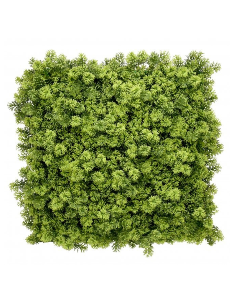 Alpine Moss Green Wall