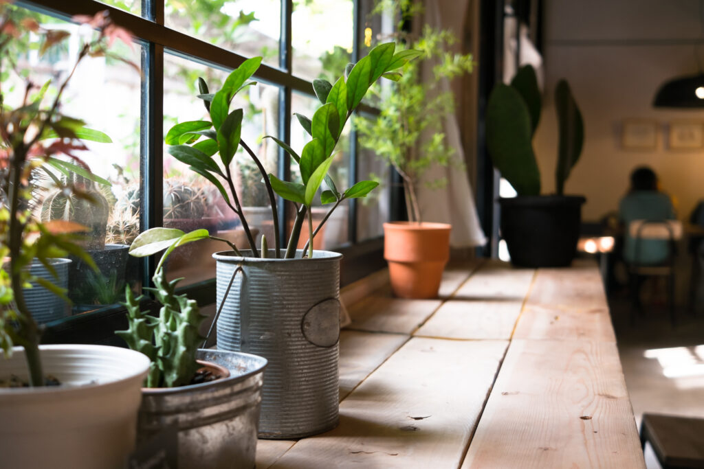 Kitchen artificial plants