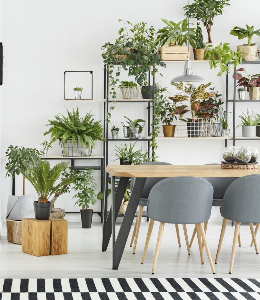 Artificial Plants in home