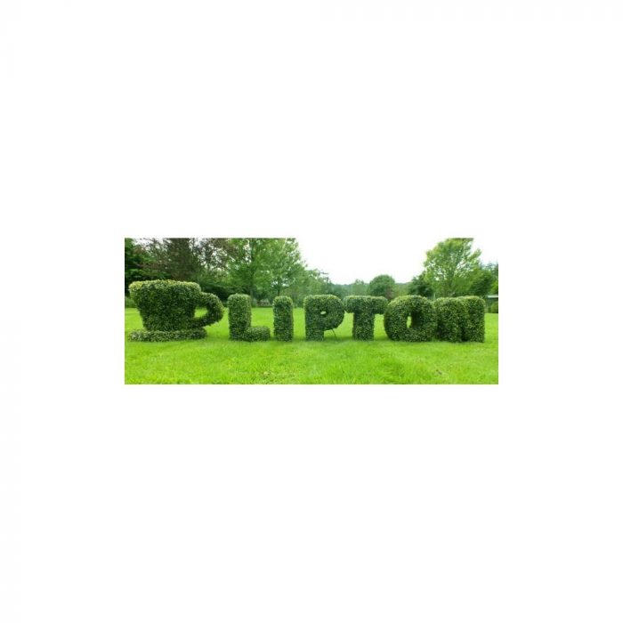 artificial boxwood topiary letters p63 75 image 700x700 1