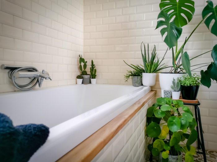 Artificial Plants For Bathrooms 700x525 1