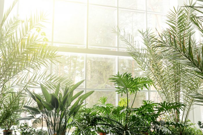 Artificial Conservatory Plants 1 700x467 1