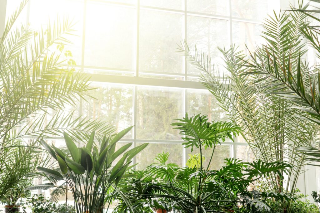 Artificial Conservatory Plants