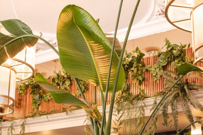 Artificial trailing plants interior commercial bar restaurant hotel 1 700x467 1