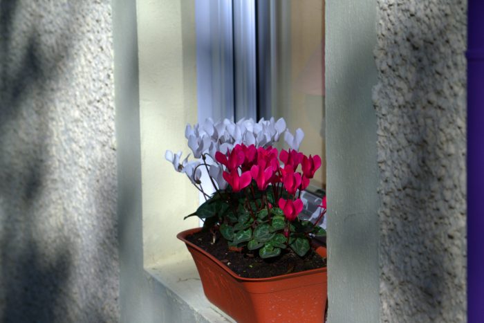 Window Artifical Flower Box 700x467 1