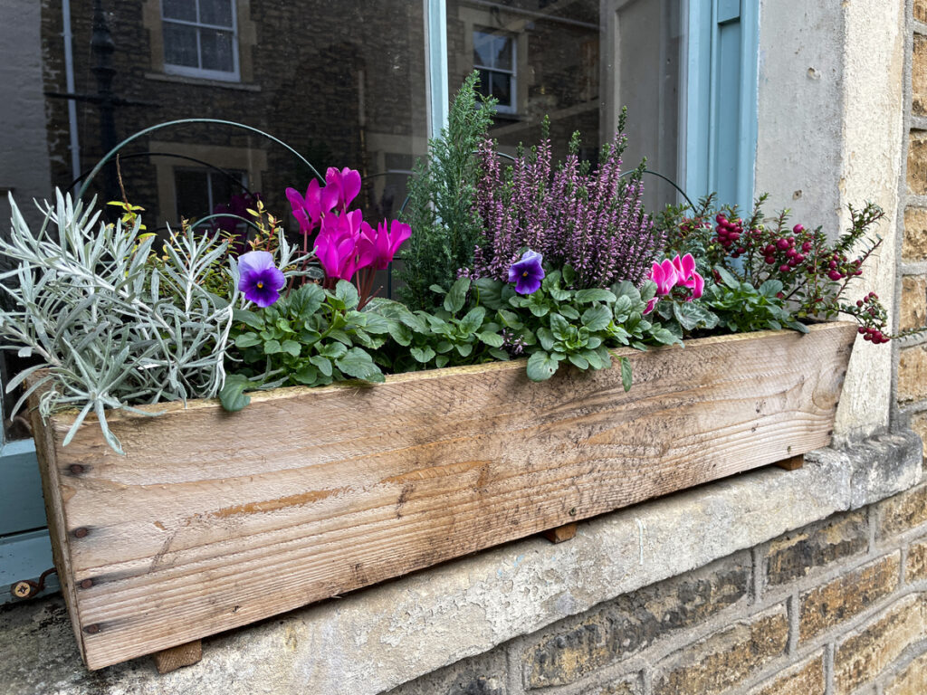 Window Boxes