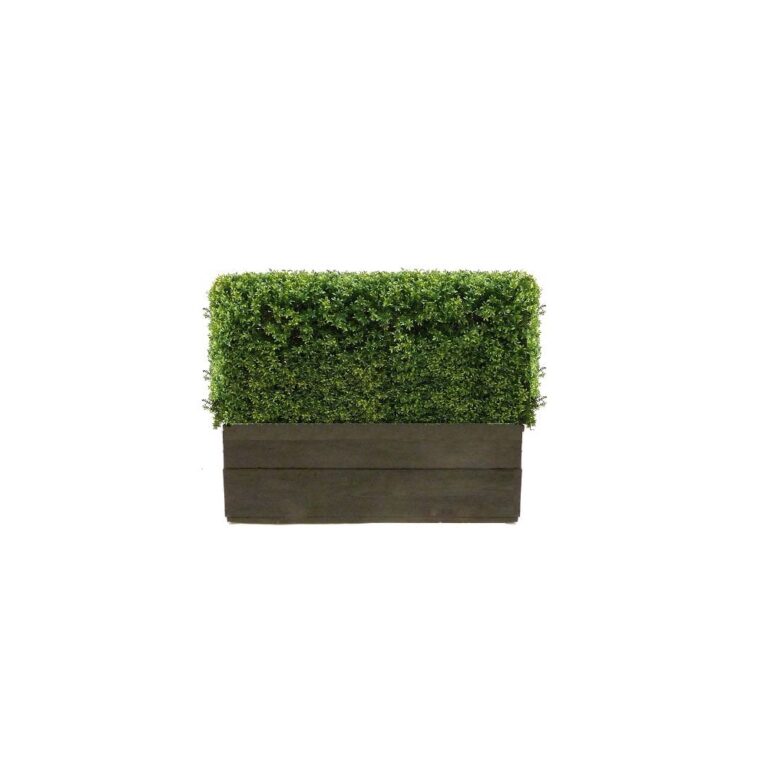 120cm Artificial Buxus Hedge in natural timber trough