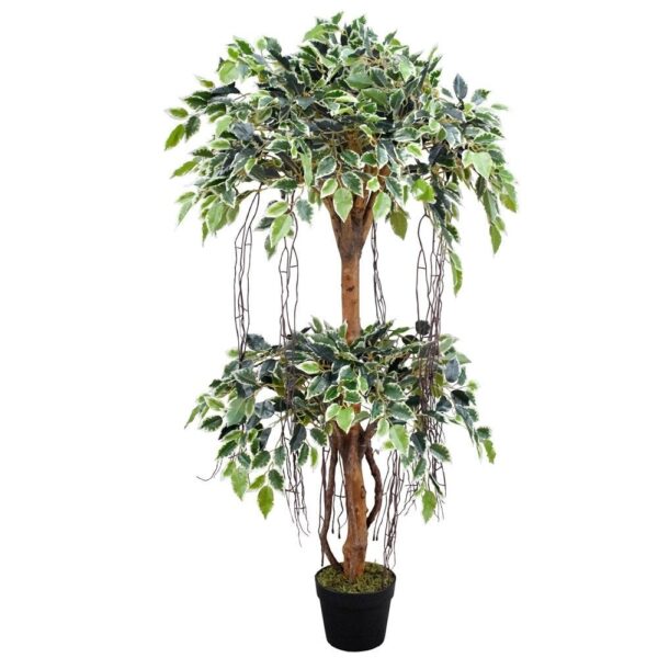 Artificial Tiered Variegated Ficus Tree at Evergreen Direct