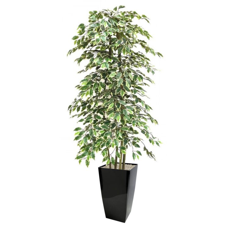 Artificial Variegated Green Ficus Tree 5' Medium Lilia Black