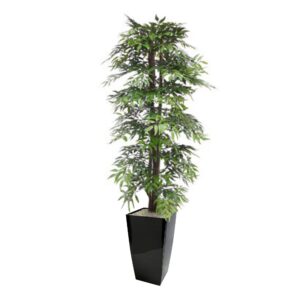 Artificial French Ruscus Tree 5' Medium Lilia Black