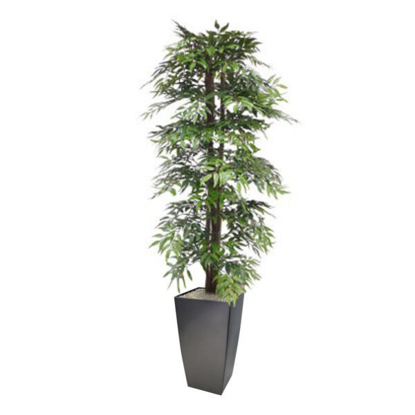 Artificial Hand Built French Ruscus Tree From Evergreen Direct