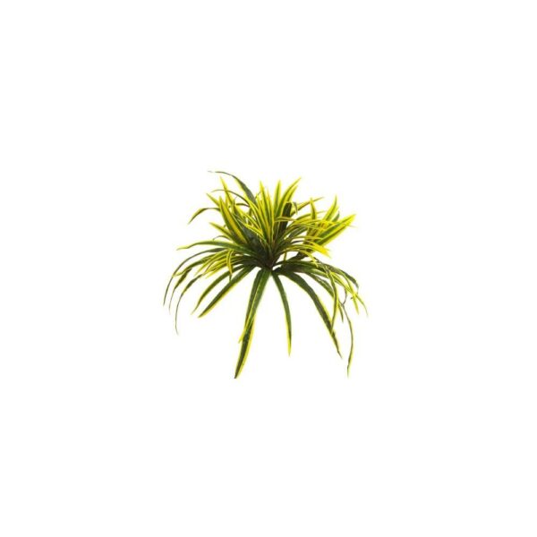 Artificial Dracaena Plant