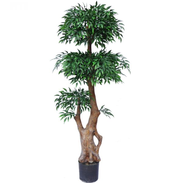 UV Triple Tiered Contorted Ruscus Tree-Medium Lilia Black