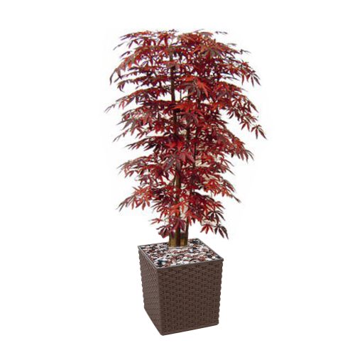 #1 for Artificial Red Maple Tree - Evergreen Direct