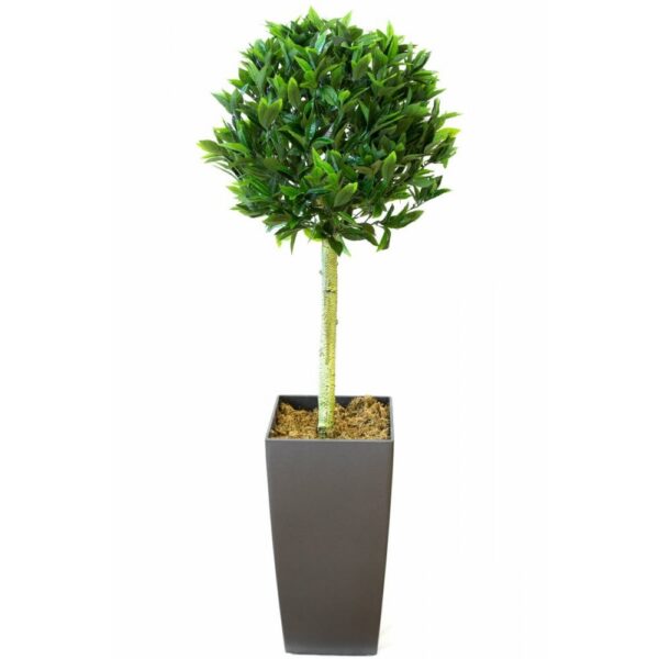 Giant Artificial Bay Tree From Evergreen Direct