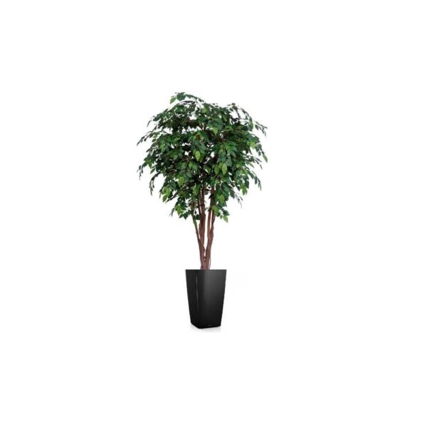 Artificial UV FicusTree From Evergreen Direct