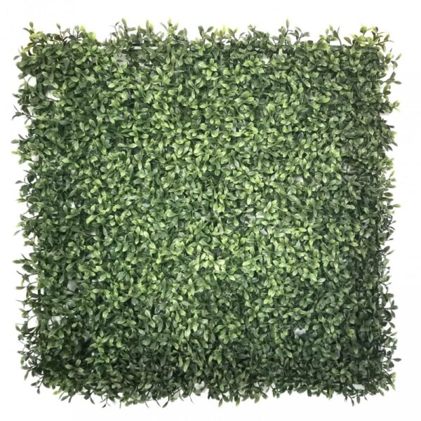 Privet Hedge Panel (1msq)