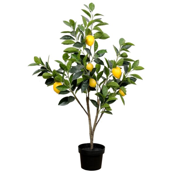 Artificial Lemon Tree - Medium Black Juka