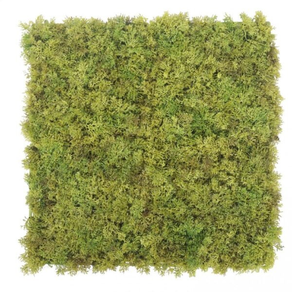 Artificial Woodland Moss