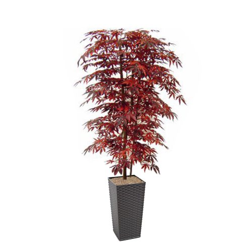 #1 for Artificial Red Maple Tree - Evergreen Direct