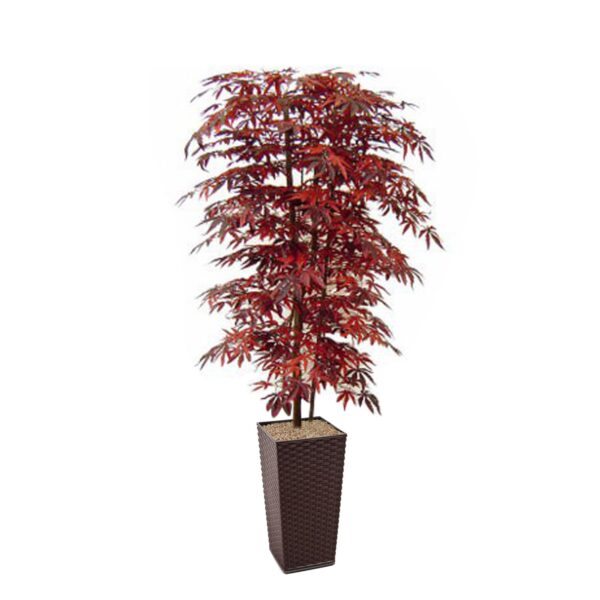 #1 for Artificial Red Maple Tree - Evergreen Direct