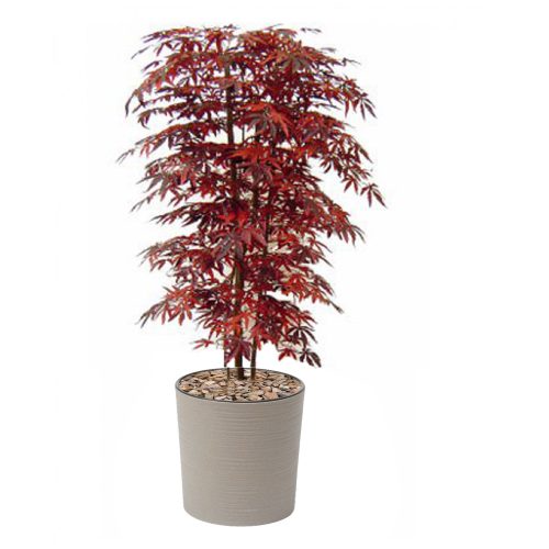 #1 for Artificial Red Maple Tree - Evergreen Direct