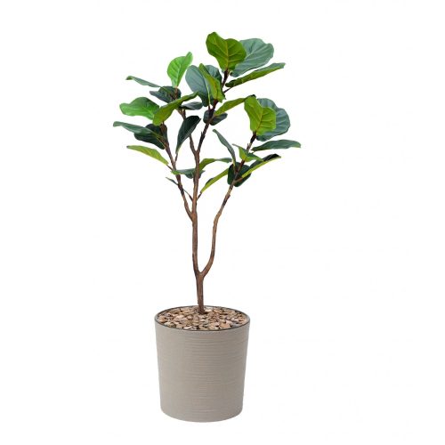 Artificial Fiddle Leaf Fig at Evergreen Direct