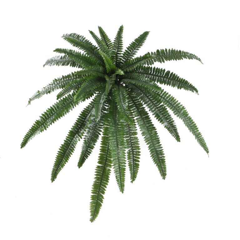 Artificial Trailing Boston Fern