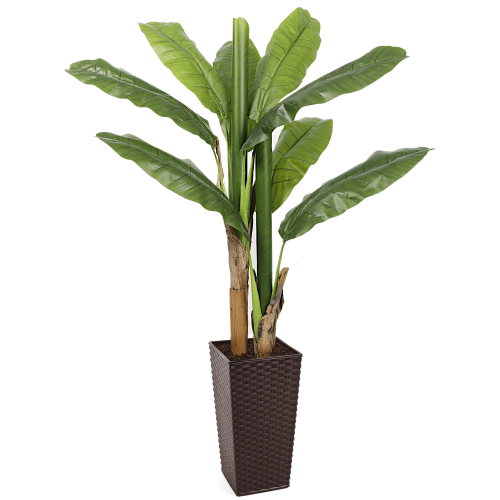 Artificial Banana Tree