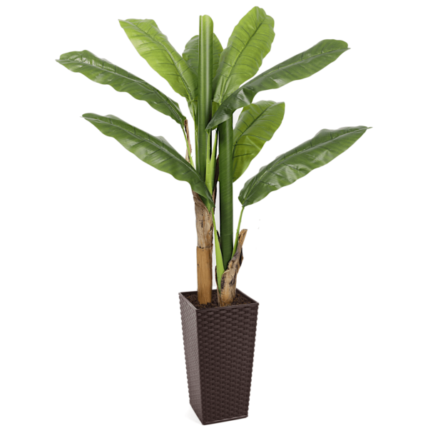 Artificial Banana Tree