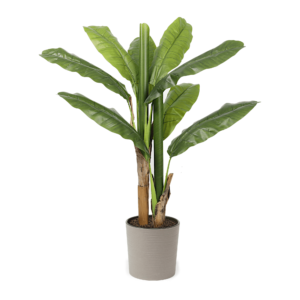 Artificial Banana Tree