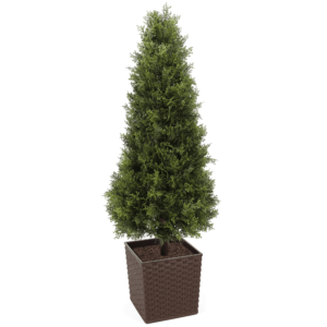 Artificial Cypress Shrub at Evergreen Direct