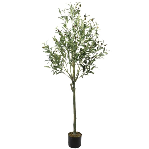 150cm Tuscan Olive Artificial Tree with fruits - Evergreen Direct