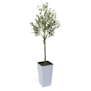 150cm Tuscan Olive Artificial Tree with fruits - Evergreen Direct