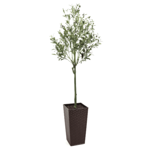 150cm Tuscan Olive Artificial Tree with fruits - Evergreen Direct