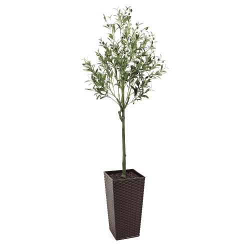 150cm Tuscan Olive Artificial Tree with fruits - Evergreen Direct