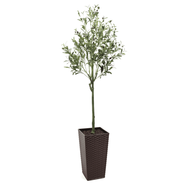 150cm Tuscan Olive Artificial Tree with fruits - Evergreen Direct