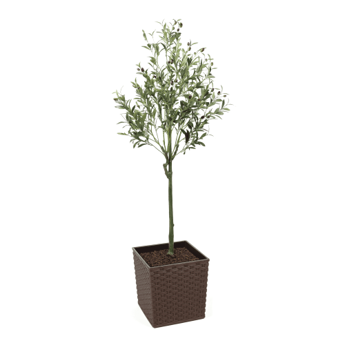 150cm Tuscan Olive Artificial Tree with fruits - Evergreen Direct