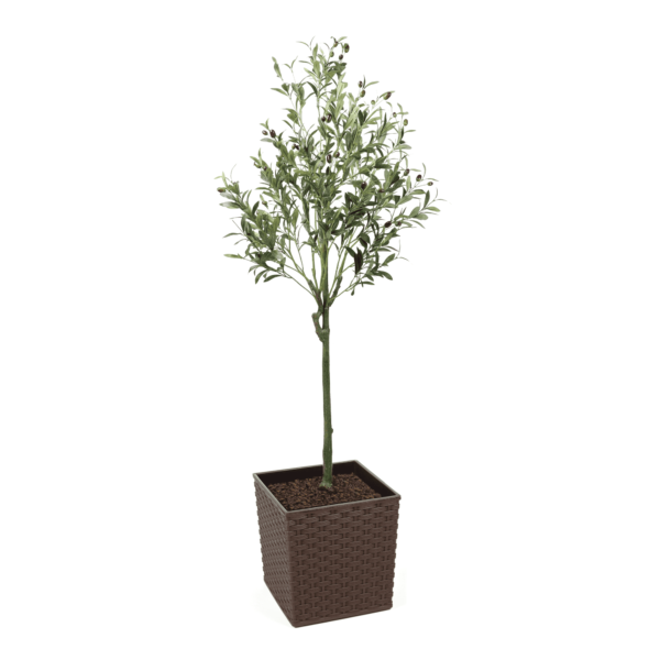 150cm Tuscan Olive Artificial Tree with fruits - Evergreen Direct