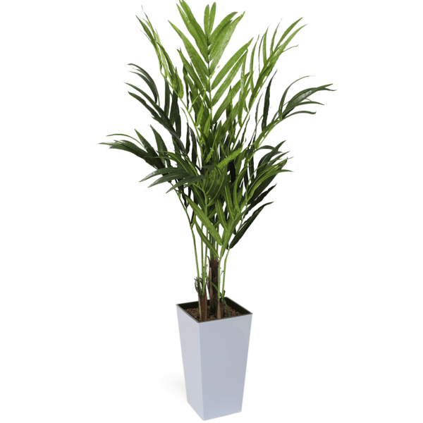 #1 for Artificial Kentia Palm Trees | Evergreen Direct