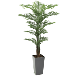 #1 for Artificial Areca Palm Trees | Evergreen Direct